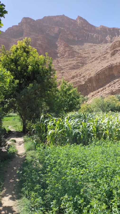 Riad Dar Ahlam Aït Baha 외부 사진